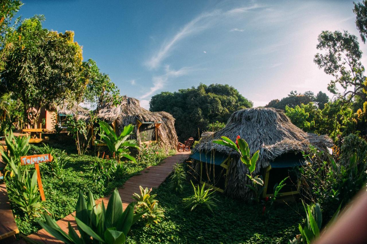 Hostel Bambuda